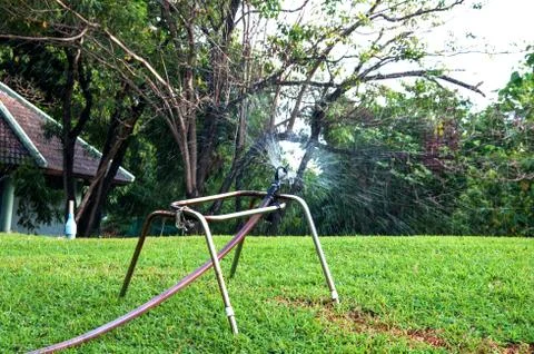 Springtime spray Stock Photos