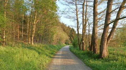 Springtime Stroll Along a Field Path in Memmingen, Passing Fresh Grass and Tr Stock Footage 309041762
