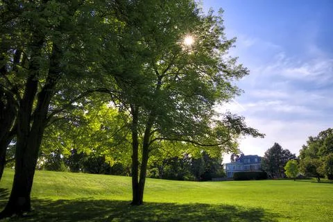 Springtime sunlight coming through the new growth  Toronto, Ontario, Canada Stock Photos