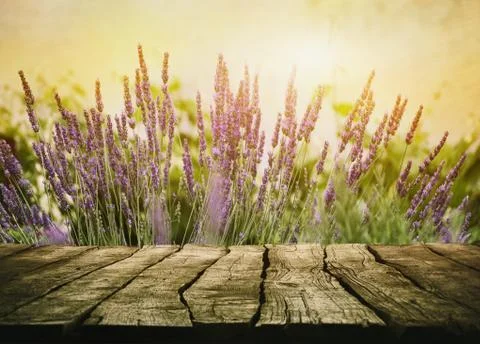 Springtime tabletop with spring flowers Stock Photos