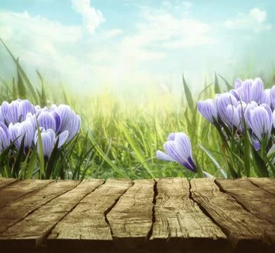 Springtime tabletop with spring flowers Stock Photos