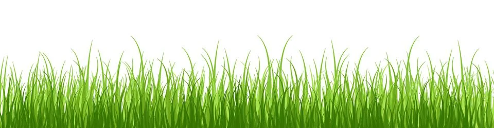 Springtime tender grass, isolated on white background without shadow.Wide gra Stock Illustration