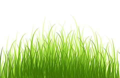 Springtime tender grass, isolated on white background without shadow. Stock Illustration