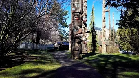 Springtime in Thunderbird totem poles park aerial video 3.  Stock Footage 88165737