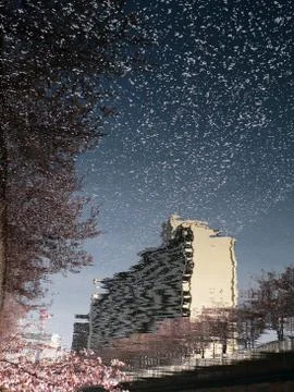 Springtime, tokyo Foto stock