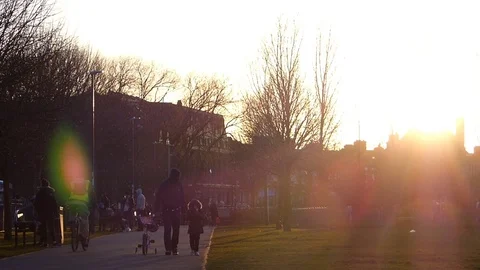 Springtime Urban Park Sunset Stock Footage 70734110