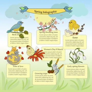 Springtime vector infographic Stock Illustration