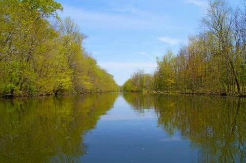 A springtime view down the river with trees covered with first sprin Stock Photos