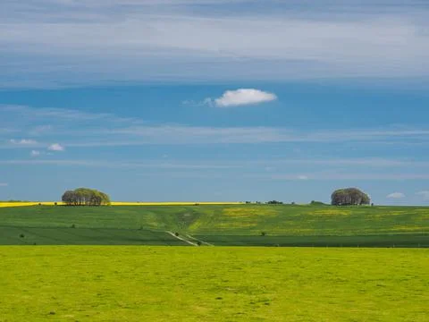 Springtime view of green fields to yellow rapeseed and trees, Avebury, Wiltshire Stock Photos