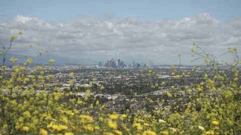 Springtime view of Los Angeles Stock Footage 288404283