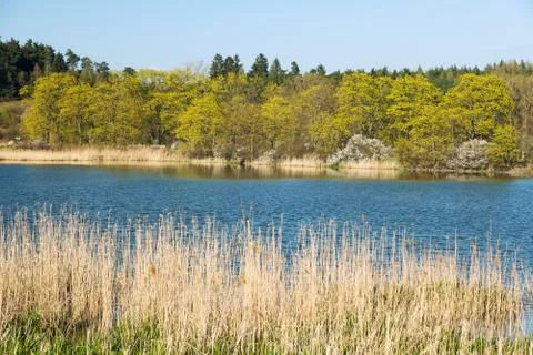 Springtime view of pond Stock Photos
