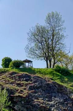Springtime view with tree and alcove for respite in the glade at top slope Stock Photos