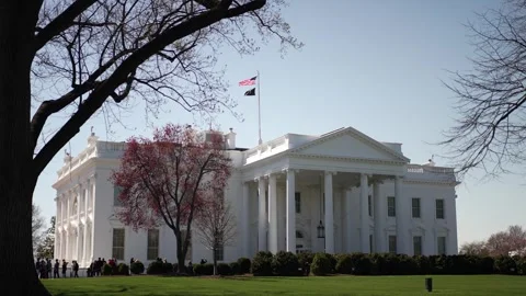 Springtime View of the White House Amidst Blooming Trees in Washington DC Stock Footage 306682264
