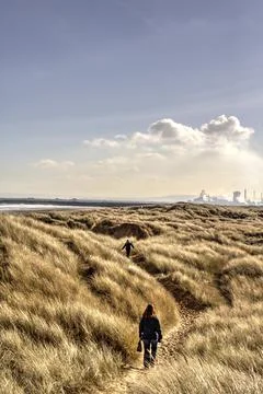 Springtime Walk in the Dunes Stockfoto's