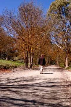 Springtime Walk Stock Photos