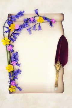 Springtime Wildflower Border on Paper Scroll with Feather Pen Stock Photos
