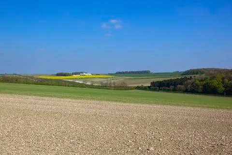 Springtime Wolds crops Stock Photos