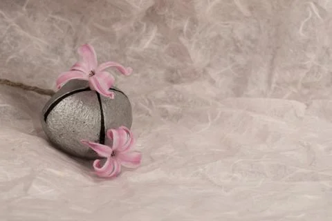 Springtime,cyclamen flower Stock Photos