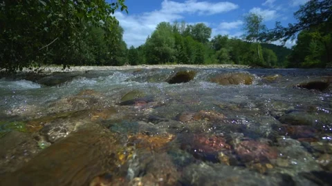 Springwater moves from mountans to river. Spring time. Forest on the background Video stock 154635732