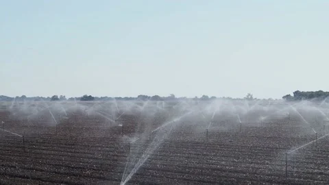 Sprinkers in a field in Merced County California in the Central Valley Stock Footage 220244853