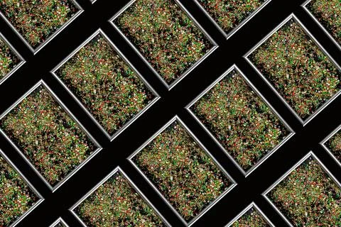 Sprinking from sweets placed in frame. Stock Photos