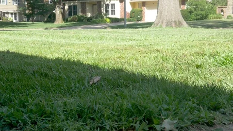 Sprinkle Front Yard slow motion Stock Footage 112616656