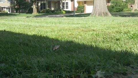 Sprinkle Front Yard slow motion Stock Footage 112619062