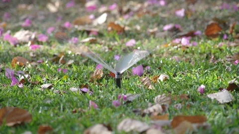 Sprinkle in the garden Stock Footage 104125182