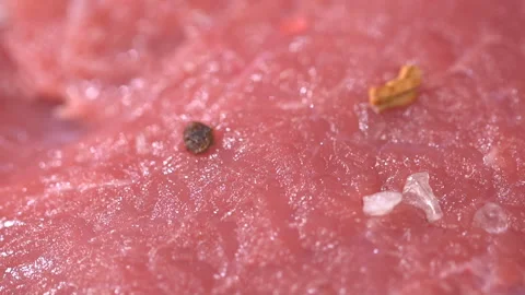Sprinkle meat with salt and spices. slow motion Vídeo Stock 101659646