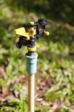 Sprinkle Stock Photos