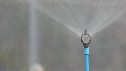 Sprinkle releasing water Stock Footage 75985728