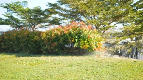 Sprinkle water spray on the grass with blurred background Stock Footage 102422759