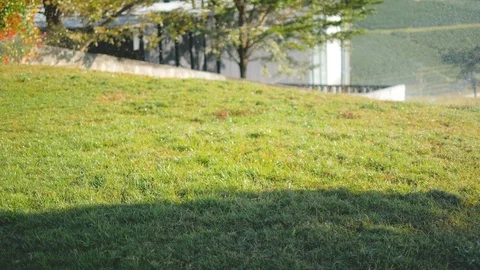 Sprinkle water spray on the grass Stock Footage 102423211
