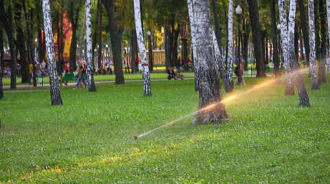 Sprinkle working in city park Stock Footage 58206824