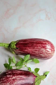 Sprinkled eggplants Foto stock
