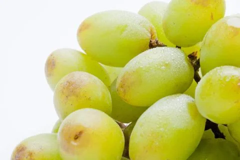 Sprinkled Grapes Stock Photos