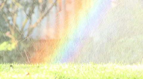 Sprinkler 1 Stock Footage 23427236