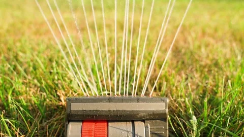 Sprinkler with adjustable watering area, close-up. Included lawn watering on a Stock Footage 256016510
