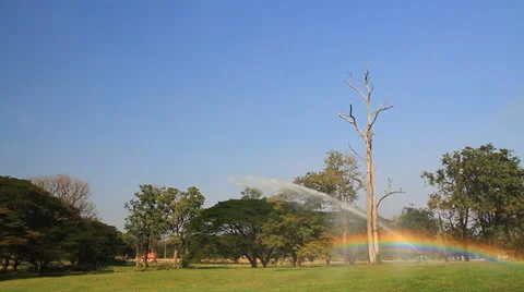 Sprinkler and rainbow Stock Footage 29670472