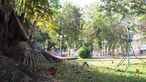 Sprinkler and Rake in a Park Stock Footage 246088292