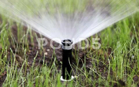 Sprinkler Of Automatic Watering