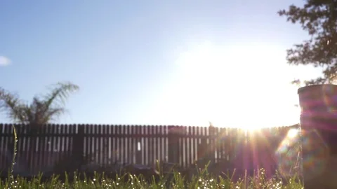 Sprinkler in Back Yard 4K Stock Footage 75918439