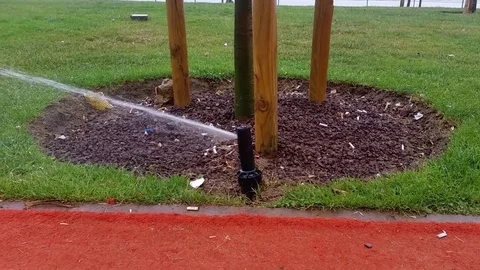 Sprinkler close to a tree in a park Stock Footage 71760556