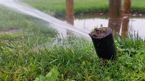 Sprinkler close to a tree in a park Stock Footage 71760641