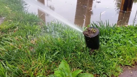 Sprinkler close to a tree in a park Stock Footage 71760833