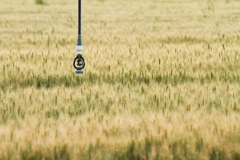 Sprinkler for the crops Stock Photos