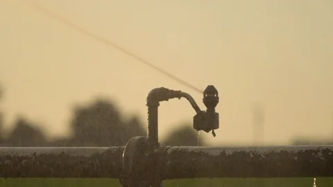 Sprinkler on the farm Video stock 121546600