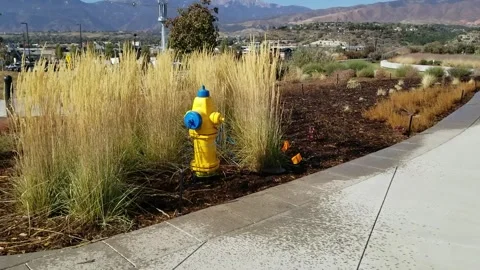 Sprinkler, fire hydrant, and grass Stock Footage 245118785
