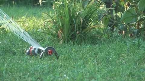 Sprinkler Stock Footage 10684950