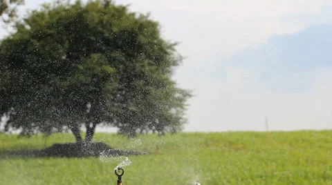 Sprinkler 库存影片 28021763
